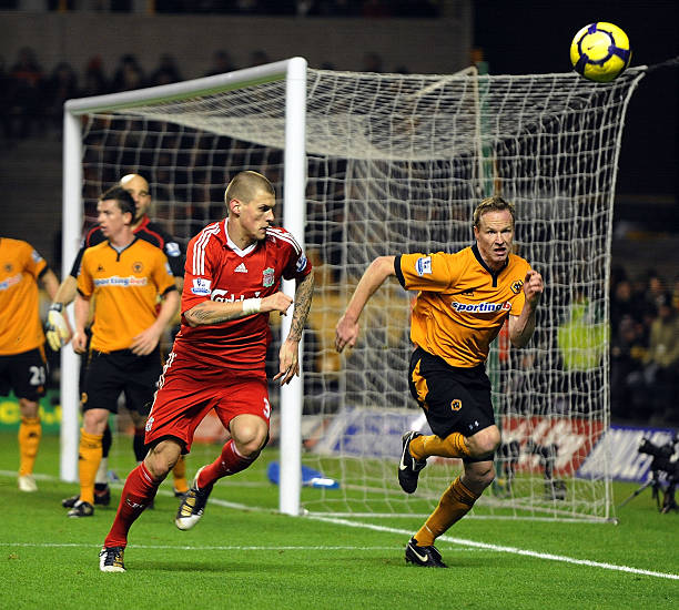 广州蒲公英 广州蒲公英